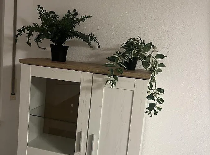 Sunset Mit Rheinblick In